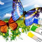 couleurs-monde