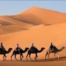 حكم عربية