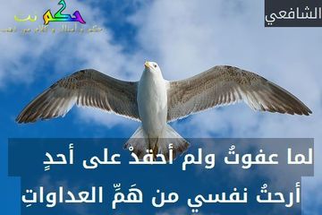 حكمة اليوم