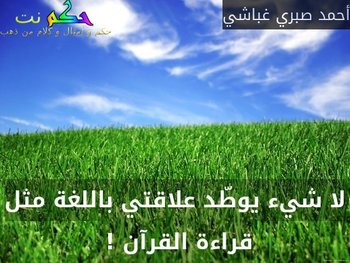 لا شيء يوطّد علاقتي باللغة مثل قراءة القرآن ! -أحمد صبري غباشي