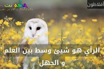 الرأي هو شيئ وسط بين العلم و الجهل-أفلاطون