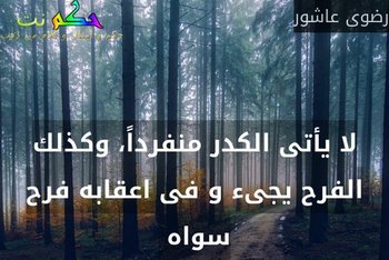 لا يأتى الكدر منفرداً، وكذلك الفرح يجىء و فى اعقابه فرح سواه -رضوى عاشور