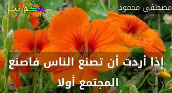 إذا أردت أن تصنع الناس فاصنع المجتمع أولا -مصطفى محمود