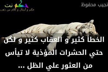 الخطأ كثير و العقاب كثير و لكن حتي الحشرات المؤذية لا تيأس من العثور علي الظل … -نجيب محفوظ