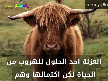 العزلة احد الحلول للهروب من الحياة لكن اكتمالها وهم -نهى محمد
