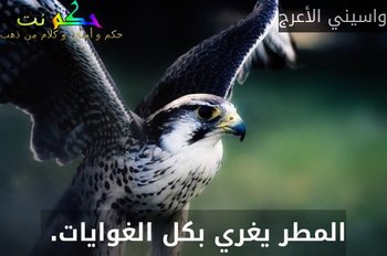 المطر يغري بكل الغوايات. -واسيني الأعرج