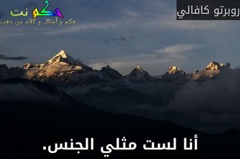 أنا لست مثلي الجنس.-روبرتو كافالي