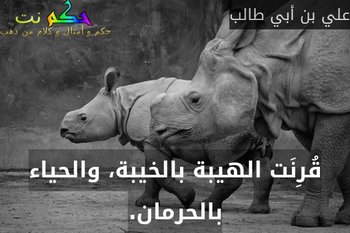 قُرِنَت الهيبة بالخيبة، والحياء بالحرمان.-علي بن أبي طالب