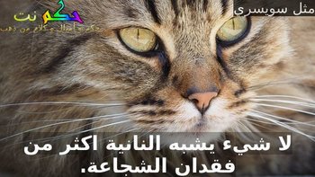 لا شيء يشبه النانية اكثر من فقدان الشجاعة.-مثل سويسري
