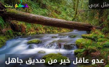 عدو عاقل خير من صديق جاهل-مثل عربي