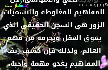إن سياسات التسمية هي من أهم جبهات التحرر الفكري والاجتماعي والسياسي، لأن المفاهيم المغلوطة والتسميات الزور هي السجن الحقيقي الذي يعوق العقل ويحرمه من فهم العالم، ولذلك فإن كشف زيف المفاهيم يغدو مهمة واجبة.-هبة رؤوف عزت